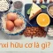 Canxi hữu cơ là gì? Top 8 canxi hữu cơ cho người lớn tốt nhất 2024